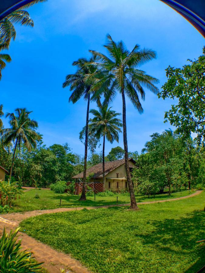 The Orchard Resort Belgaum Ngoại thất bức ảnh