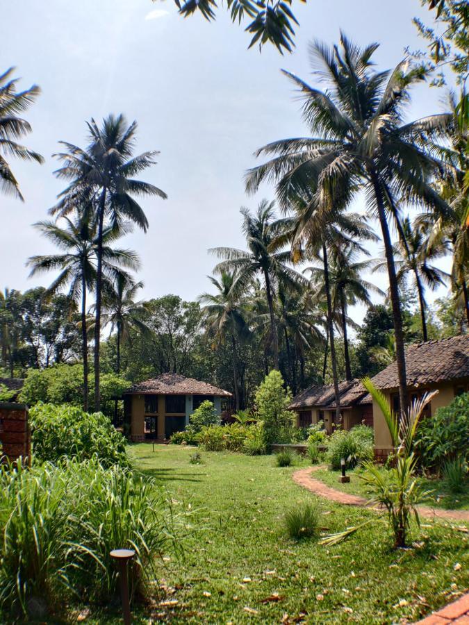 The Orchard Resort Belgaum Ngoại thất bức ảnh